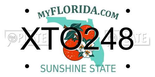 XTO248 Florida License Plate