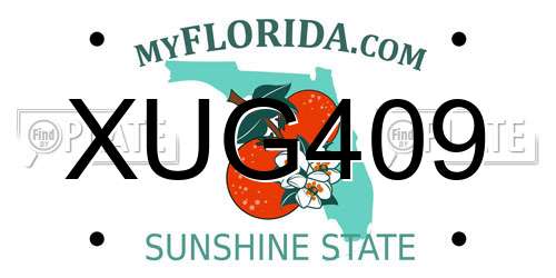 XUG409 Florida License Plate