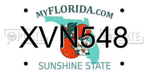 XVN548 Florida License Plate