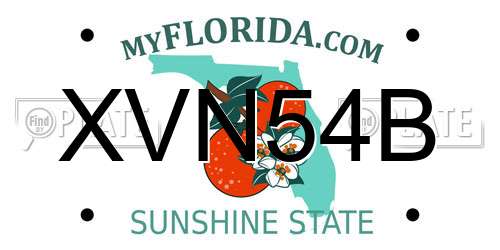 XVN54B Florida License Plate