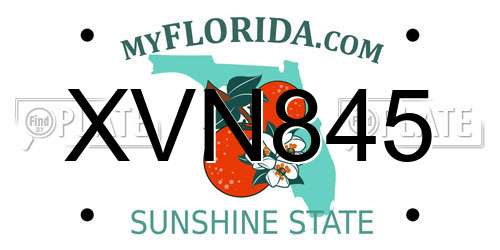 XVN845 Florida License Plate