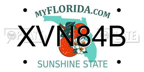 XVN84B Florida License Plate