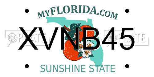 XVNB45 Florida License Plate