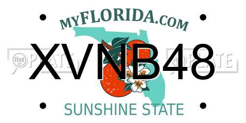 XVNB48 Florida License Plate