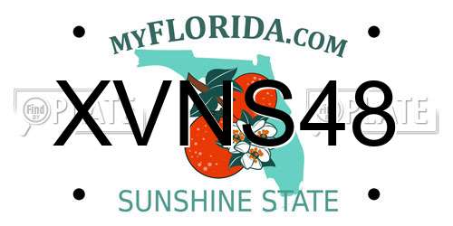 XVNS48 Florida License Plate
