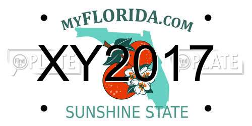 XY2017 Florida License Plate