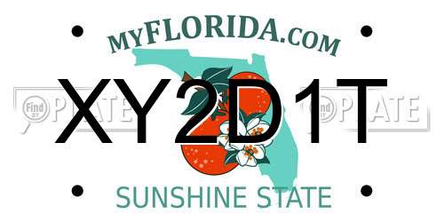 XY2D1T Florida License Plate