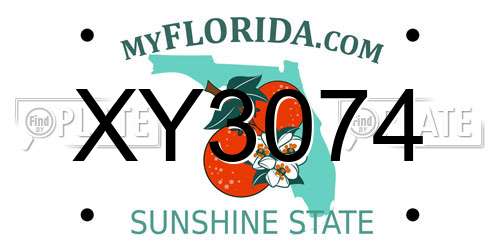 XY3074 Florida License Plate
