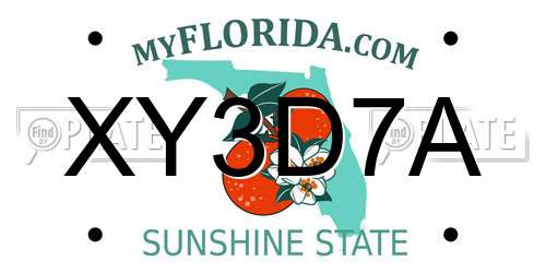 XY3D7A Florida License Plate