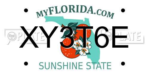 XY3T6E Florida License Plate