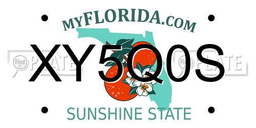 XY5Q0S Florida License Plate
