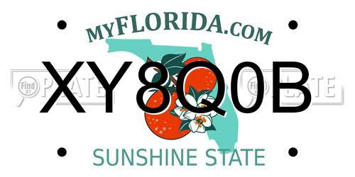 XY8Q0B Florida License Plate
