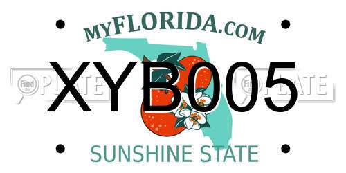 XYB005 Florida License Plate