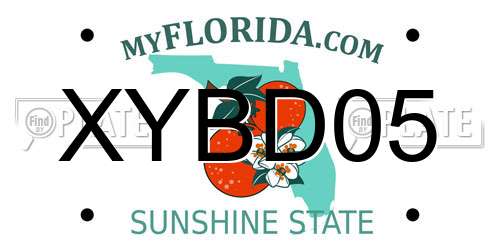 XYBD05 Florida License Plate