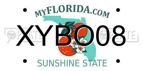 XYBO08 Florida License Plate