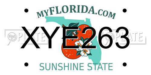 XYE263 Florida License Plate