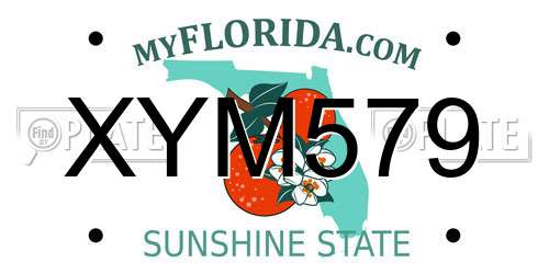 XYM579 Florida License Plate