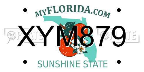 XYM879 Florida License Plate