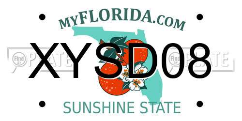 XYSD08 Florida License Plate