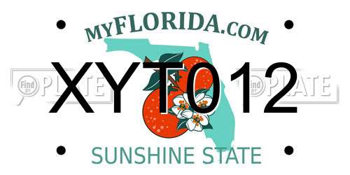 XYT012 Florida License Plate