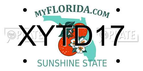 XYTD17 Florida License Plate