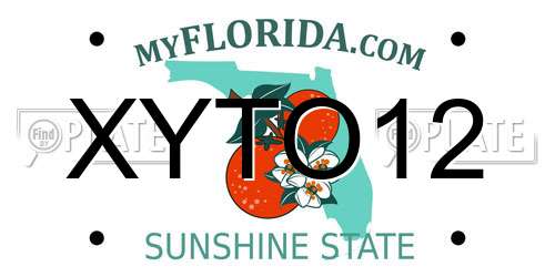 XYTO12 Florida License Plate