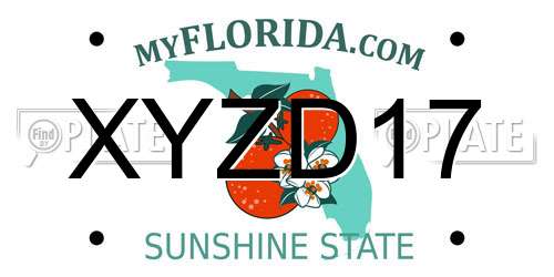 XYZD17 Florida License Plate
