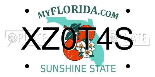 XZ0T4S Florida License Plate