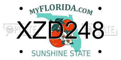 XZD248 Florida License Plate