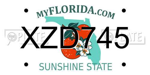 XZD745 Florida License Plate