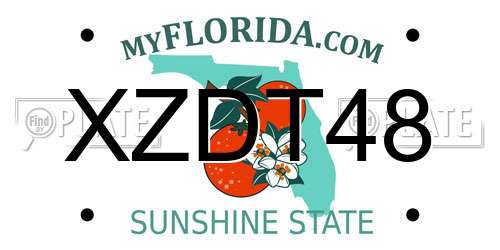 XZDT48 Florida License Plate