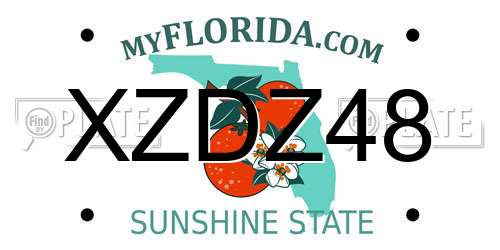 XZDZ48 Florida License Plate
