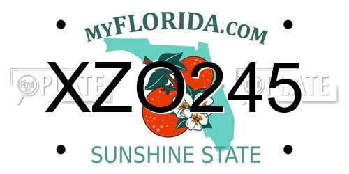 XZO245 Florida License Plate