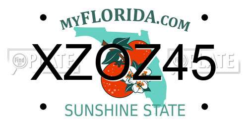 XZOZ45 Florida License Plate
