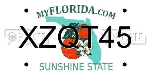 XZQT45 Florida License Plate