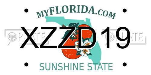 XZZD19 Florida License Plate