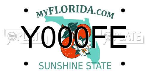 Y000FE Florida License Plate
