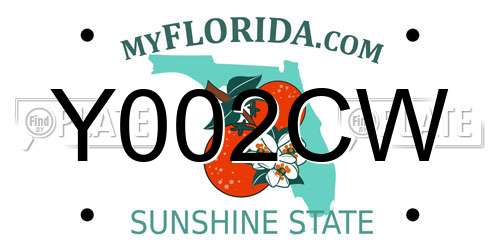 Y002CW Florida License Plate