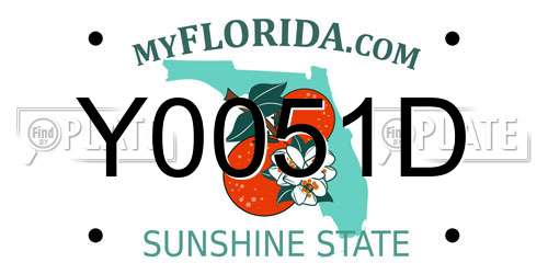 Y0051D Florida License Plate