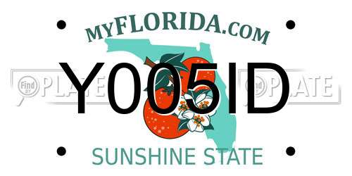 Y005ID Florida License Plate