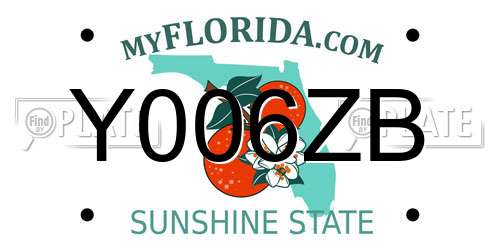 Y006ZB Florida License Plate