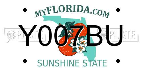 Y007BU Florida License Plate