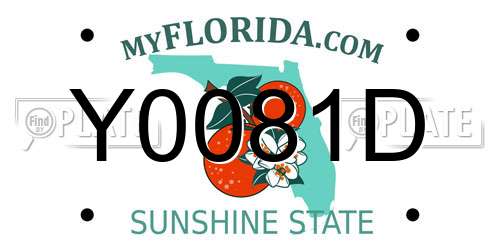 Y0081D Florida License Plate
