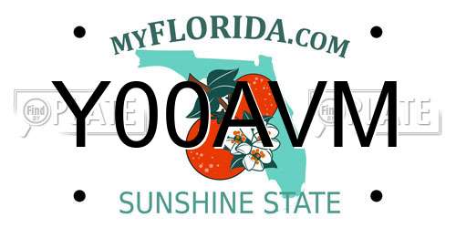 Y00AVM Florida License Plate