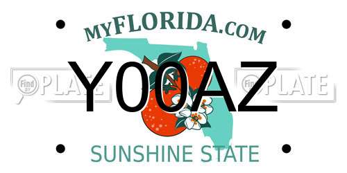 Y00AZ Florida License Plate