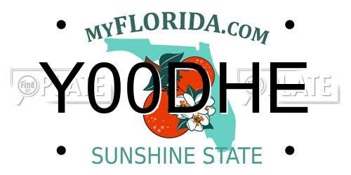 Y00DHE Florida License Plate