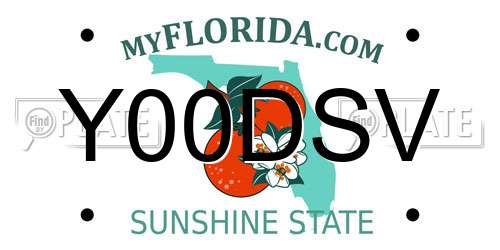 Y00DSV Florida License Plate