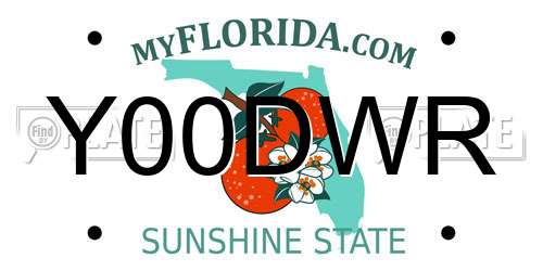 Y00DWR Florida License Plate