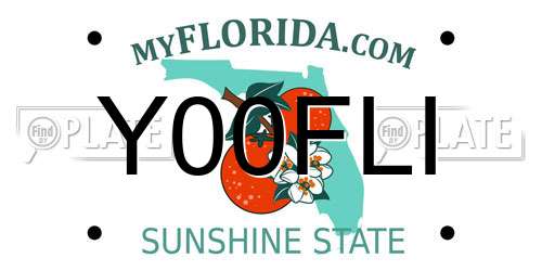 Y00FLI Florida License Plate