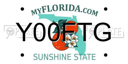 Y00FTG Florida License Plate